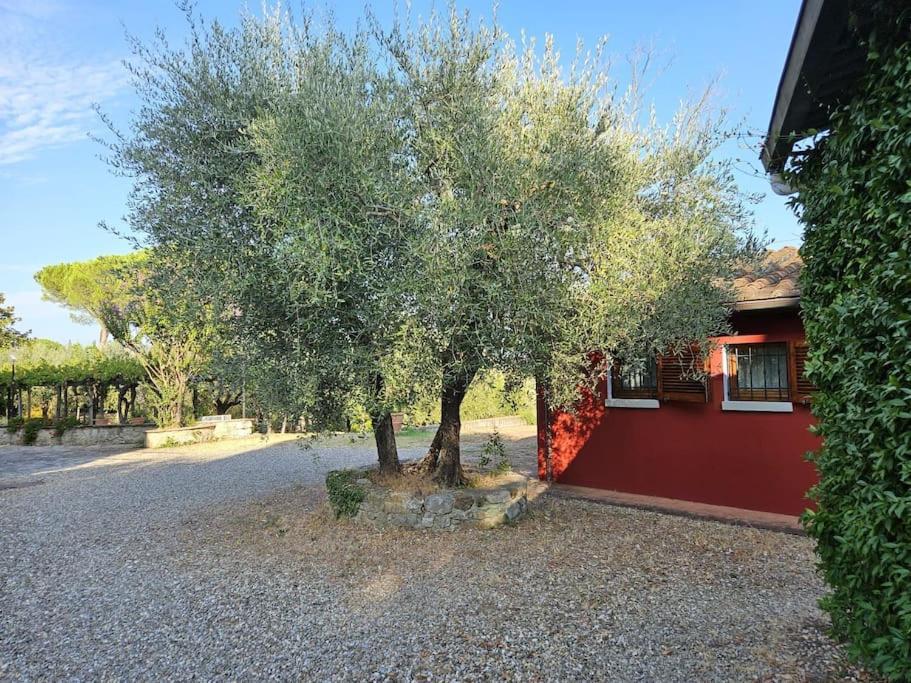 Apartmán Casina Rossa Tavarnuzze Exteriér fotografie